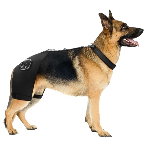 Haggemi Dog Hip Brace XXL