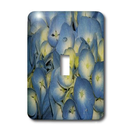 Interrupteur hortensia bleu jaune pour remplacer une plaque murale usée