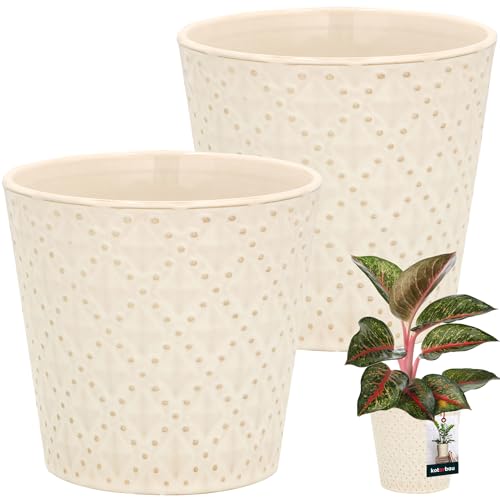 KOTARBAU® Vintage Blumentopf Übertopf Keramik Cremefarben ⌀ 12 cm Höhe 13 cm Glasiert 2 St. Trapez Blumenübertopf Groß für Zimmerpflanzen