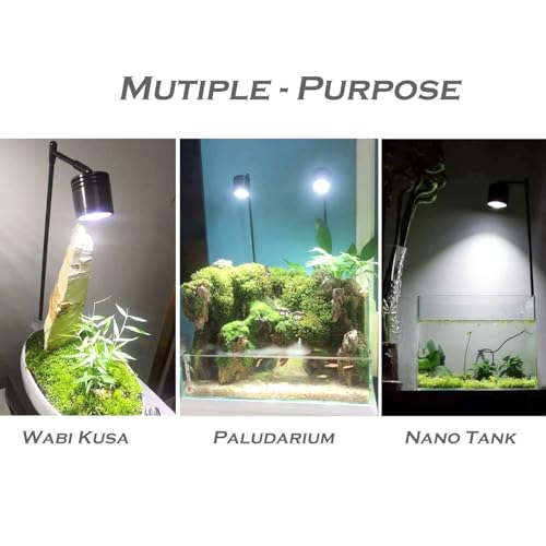 Image of JAINSONS PET PRODUCTS 10W Aquarium Clip-On LED Spotlight - High Intensity COB Light for Fish Tanks | Adjustable Arm with Clamp Mount | Energy Efficient Lighting for Planted & Freshwater Aquariums