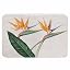 Bird of Paradise Flowers