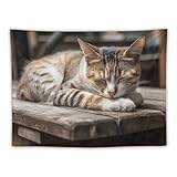 DJUETRUI Schlafende Katze, Wandteppich, dekorative Wandkunst-Tischdecke, Tagesdecke, Picknickdecke, Stranddecke, multifunktional, für Schlafzimmer, Flur, Schlafsaal, Wohnzimmer, zum Aufhängen, 76,2 x