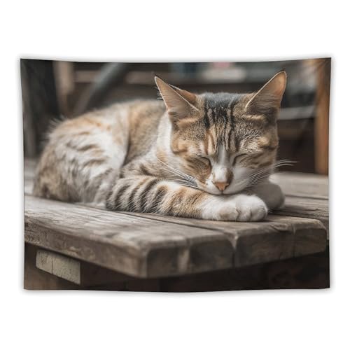 DJUETRUI Schlafende Katze, Wandteppich, dekorative Wandkunst-Tischdecke, Tagesdecke, Picknickdecke, Stranddecke, multifunktional, für Schlafzimmer, Flur, Schlafsaal, Wohnzimmer, zum Aufhängen, 76,2 x