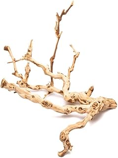 SubstrateSource Natural Aquarium Driftwood for Fish Tanks, Terrarium, Reptile Habitats, Freshwater Aquatic Decor - Small to Large Pieces (Grape Wood (Small) 8-14", 1 Piece)