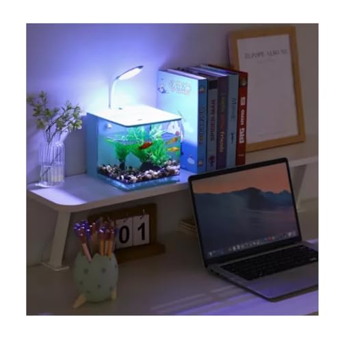 Aquário de Mesa com Luz LED, Bomba de Água, Decorações Coloridas com Filtro Traseiro (Preto)