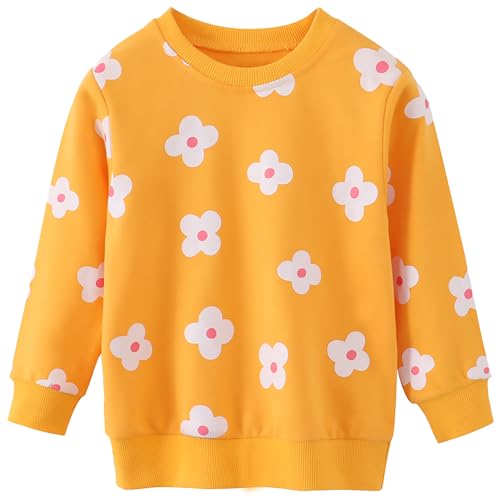Image of AIWUHE Toddler Cotton Sweatshirt Boys Girls Pullover Long Sleeve Tops 2-6Y