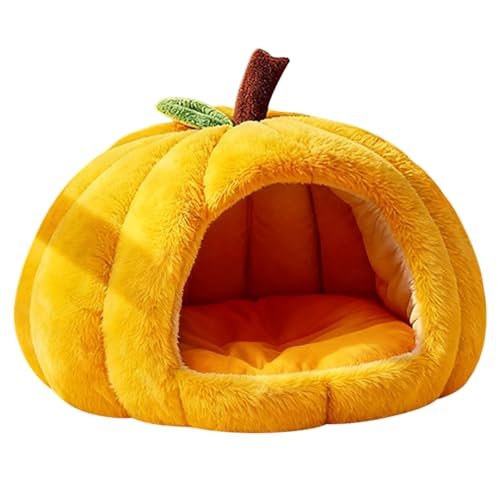  O ^ hbOnEX  vX`bN ybgnEX VF^[ ^ ^Kp hf  OK xbh g ӂӂ 薰 \tgP[W ` gCv[h ɒʗp ʔNp(CG[CM)