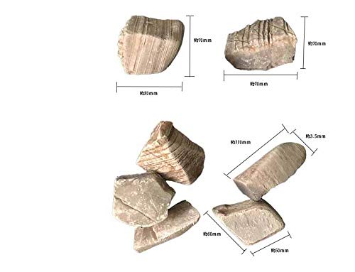 古代ソマチッド【千枚岩】 古代ソマチッド【千枚岩】