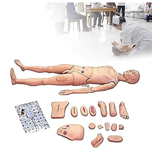 DARZYS Patient Care Medical Manikin, Life Size Multi-Functional Patient Care Simulator Male Mannequin Full Body for Students Education Teaching Medical