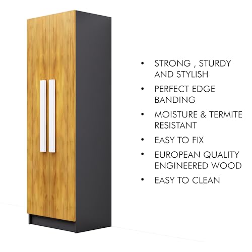 Image of Bniture Wooden Almirah for Clothes, Door for Bedroom, 2 Door Wardrobe with 4 Shelves Huge Storage Space (46D x 60W x 182H CM) | 3 Year Warranty (Slate Grey & Giant Wood)
