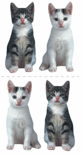 Paper House Productions ST-2050E Photo Real Stickypix Stickers, 2" x 4", Kittens