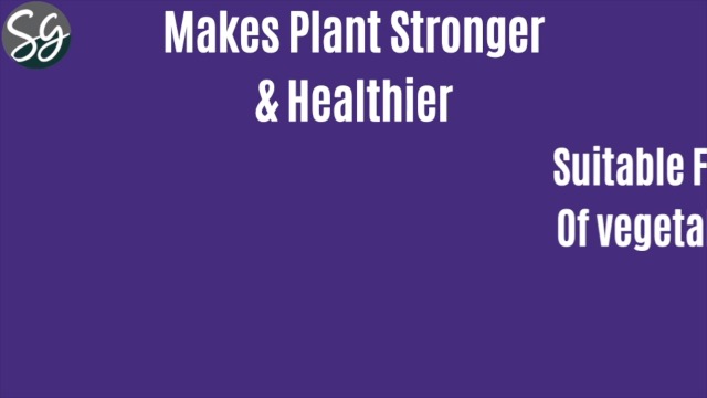 Rimi Garden® NPK 30:10:10, Premium Essential Fertilizer for Plant Growth (900 gm)