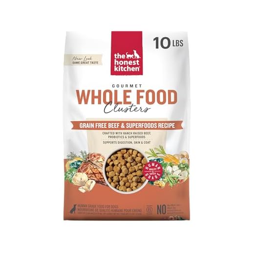 The Honest Kitchen Human Grade Dry Dog Food, Whole Food Clusters Grain Free Dry Dog Food, Beef, 10 lb Bag