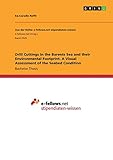  Drill Cuttings in the Barents Sea and their Environmental Footprint. A Visual Assessment of the Seabed Condition