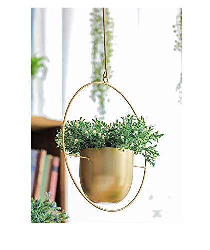 Portavaso Da Interno Ribelli 500751 - Vaso Da Fiori Sospeso Da Giardino Con Sistema Di Irrigazione, Da Appendere Con Foro Di Drenaggio, Per Piante Da Giardino, Balcone, Terrazza, 11 Pezzi Vasi Da