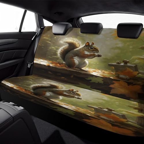 Funda para asiento trasero de coche lavable con diseño de ardilla para proteger tu SUV 6