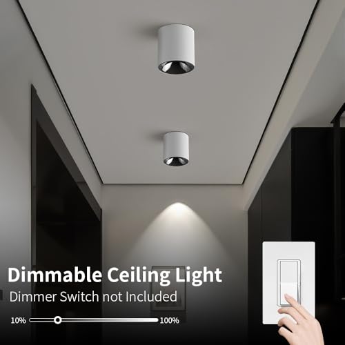Image of JAYMP Modern LED Ceiling Light 4000K Dimmable 24W COB White Surface Mount Cylinder Accent Down Light for Living Room Hallway Laundry Room