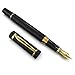 Wordsworth & Black Primori Fountain Pen Set [Black Gold]; Medium Nib, Gift Case, 24 Ink Cartridges, Refill Converter, Manual; Journaling, Calligraphy, Smooth Writing Pens; Left & Right Handed