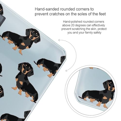 Báscula digital de baño para mascotas Dachshund Weiner miniatura 4