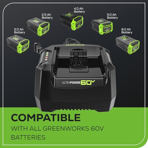 Greenworks Pro 60V Ultra Power 6A Rapid Charger - Works with All Greenworks Batteries