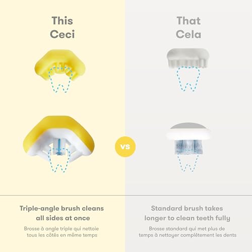 Image of Frida Baby Training Toothbrush for Babies with Soft Silicone Bristles, Yellow 1 Count(Pack of 12)