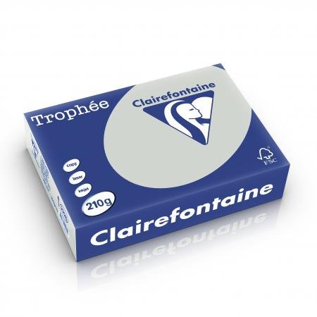 Clairefontaine 2226C - Karton mit 4 Ries à 250 Blatt Druckerpapier / Kopierpapier Trophée, DIN A4 (21x29,7 cm), 210g, Stahlgrau Pastellfarbe, 1 Karton