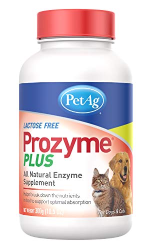 PetAg Prozyme Powder - Digestive Enzyme Supplement for Lactose Intolerant Dogs and Cats - All Natural Health Supplement Formula - 300 g Powder