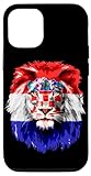 Photo Gallery custodia per iphone 15 croatia flag with lion face croatian croatia flag Photo Gallery custodia per iphone 15 croatia flag with lion face croatian croatia flag