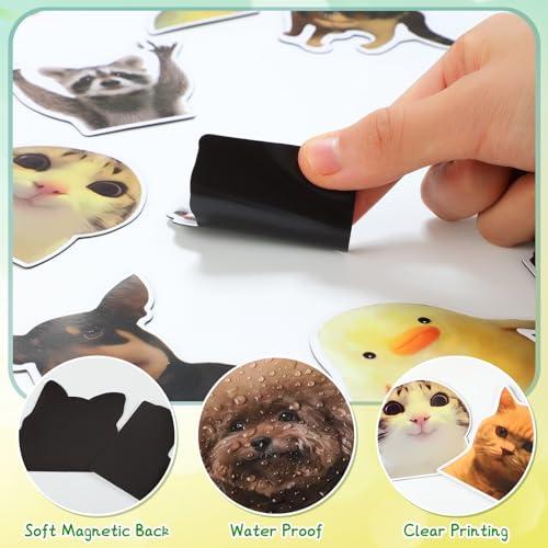 Set de 25 imanes decorativos divertidos con diseño de animales miniatura 3