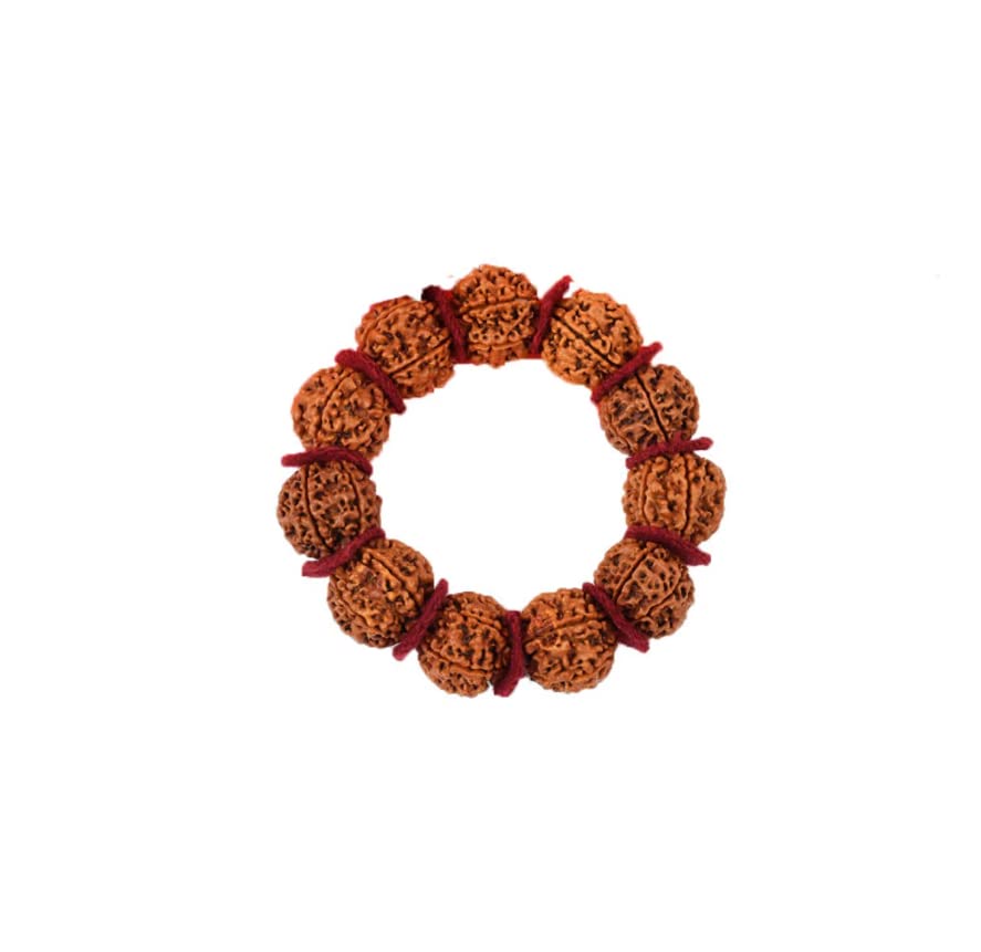 7 Mukhi Rudraksha Bracelet Nepal Beads 12 Pcs Adjustable Thread Bracelet Lab Certified 22mm-24mm