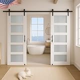 S&Z TOPHAND® 28in x 84in Double Glass Sliding MDF Barn Door with 10FT Sliding Door Hardware Kit, 5 Tempered Frosted Glass, Slab Inside Covered with Water-Proof PVC Surface, Simple DIY Assembly