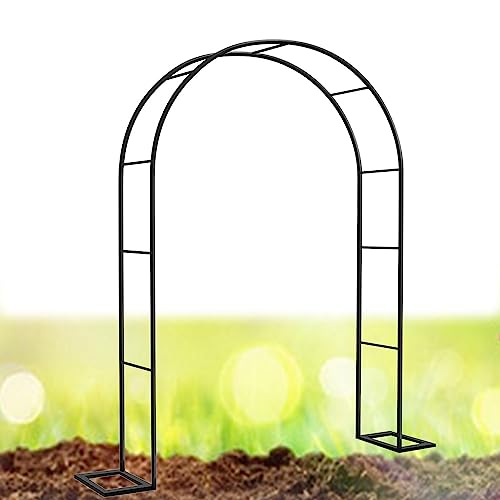 Support de plantes grimpantes résistant au vent pour rosier - 2