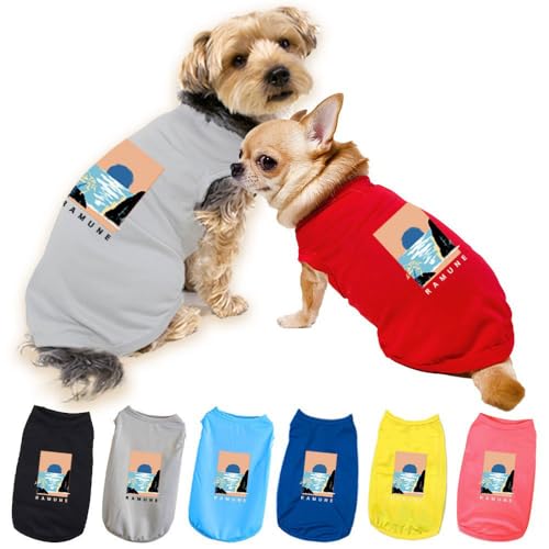    SPIRAL-style ꃁbV^N T}[ S }u[ ^ ^ ^ ~ t    ₷  킢 uh Z[ U