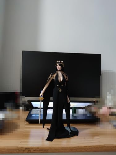 Costume de bataille 1/6 et robe princesse AMITD pour la photographie de figurines
