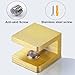AWEN 4 Pcs Adjustable Glass Shelf Brackets, Solid Brass Glass Clamp No-Drill Glass Holder Clip Support for 8mm - 10mm Thickness Glass (Brushed Brass)