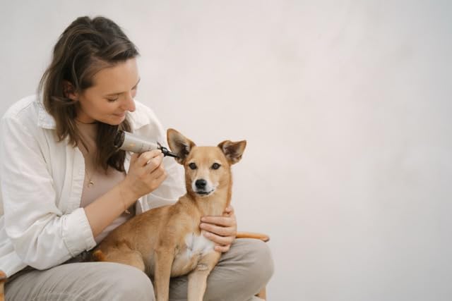 Ohrreiniger für Hunde - löst Verschmutzungen und lindert Juckreiz, mit Mikrosilber und Zink, vegan, OHR-REINIGER von LILA LOVES IT, 100 ml