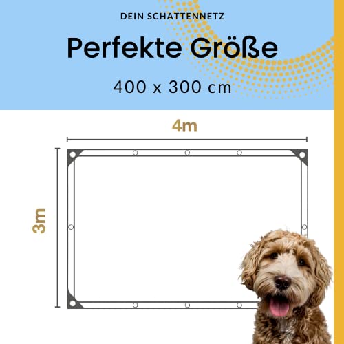 UV Schattennetz Auto Hund 3x4 m – Aludecke mit Ösen – Sonnenschutznetz & luftdurchlässiges Sonnennetz 4x3 m – reflektierende Schattenplane Camping, Urlaub, Sport – Alunetz Auto 300x400 cm Hitzeschutz