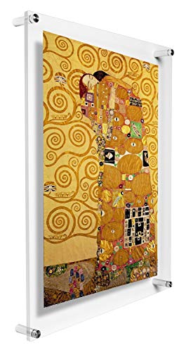 B&NN Double Panel Floating Clear Acrylic Wall Mounted Sign Frame Certificate Frame Wall Photo or Document Frame (8.5 x 11)