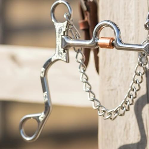 Mors de cheval à chaîne en acier inoxydable durable de marque Hrippy - 4
