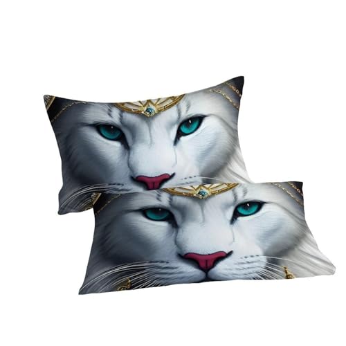 Linge de lit chat noble impression 3D haute définition et coton double 200x200
