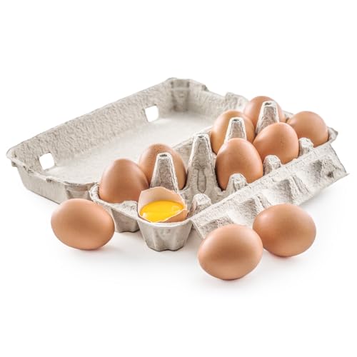 uHAPPY EGGv ԋ10 1pbN xmR̘[ ̃AeiVbv xm~Nh 劦܂ƂĂv~A тʎqĂ EɌւxmRňYݗĐ