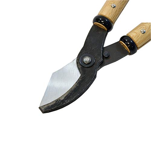 Tijeras profesionales para poda KAKURI 24" miniatura 4