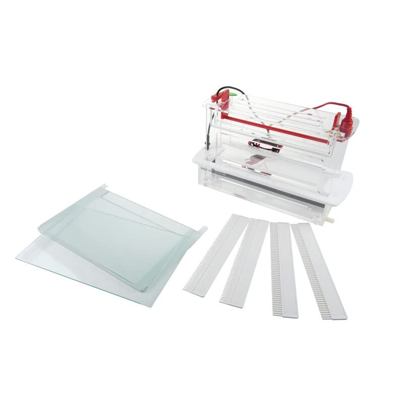 Vertical Electrophoresis System Tank (FSF-SCZ9)