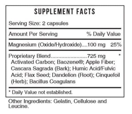 Systemic Formulas #404 Bind 120 Capsules (Pack Of 2) And Keychain Pill Holder, Activated Charcoal Capsules Powerful Cleanse Supplement For Optimal Health #TOP4