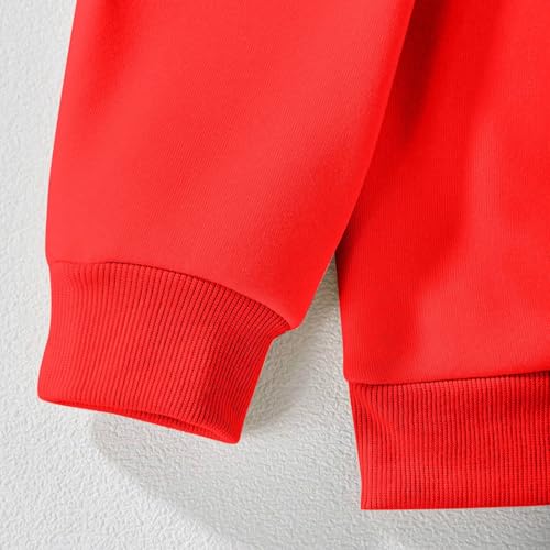 Toddler Baby Boys Girls Hoodie Solid Colors Oversized Crewneck Sweatshirt Lightweight Casual Autumn Winter Tops4