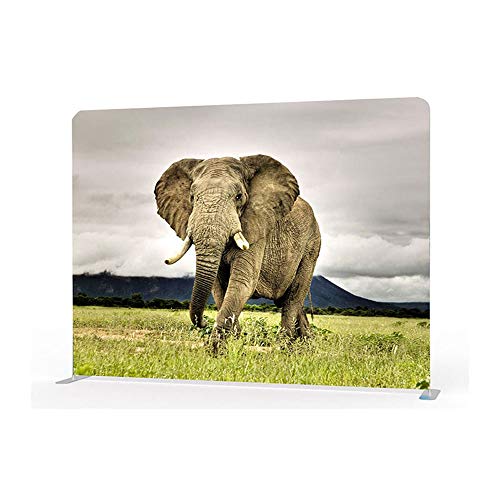 8ft High Portable Customize Graphic Tension Fabric Exhibition Trade Show Display Wall - US Stock (Graphic Include/Double Sided) - Thumbnail 3