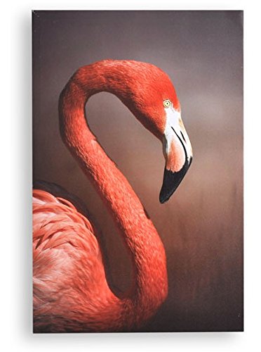 AVENUELAFAYETTE Cadre toile tableau Flamant rose - 60 x 40 cm (M3)
