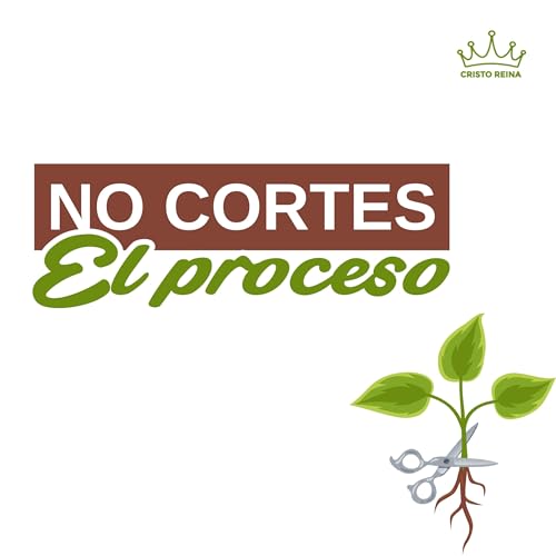 Page de couverture de No cortes el proceso | Pr. Miguel Pereira