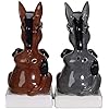 Pacific Giftware A Couple of Baddasses Ceramic Salt and Pepper Shakers Set
