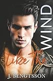 Like The Wind (Disaster Love Series)